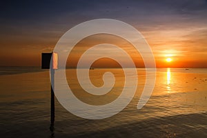 Seagull bird with amazing colorful sky and sea on twilight sunset time seascape.Nature background