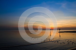 Seagull bird with amazing colorful sky and sea on twilight sunset time seascape.Nature background