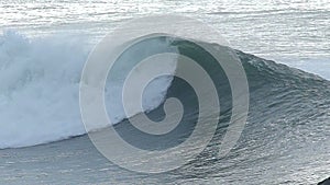 Seagull Bird Flying Over a Big Ocean Wave