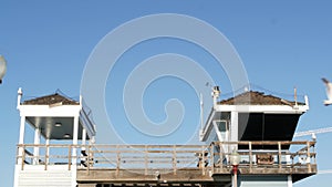 Seagull bird by lifeguard tower on pier, California USA. Life guard watchtower hut and blue sky.
