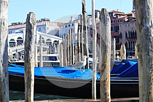 A seagull on a boat against the background of the Ponte Scalzi bridge in Venice.