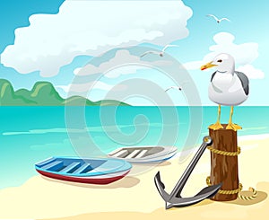 Seagull and boats on the beach photo