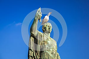 Seagull on the bronze Caesar statue at Trajan Market in Rome, Italy