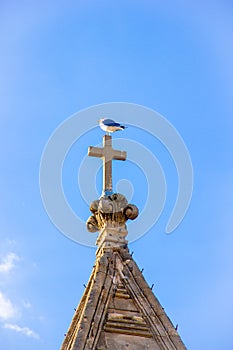 Seagull on a cross on the roof of the bell tower