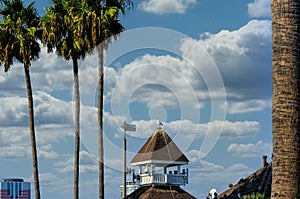 Seagull on Cupola