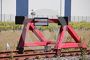 Seagull on the end of track block at traintrack in the harbor of Rotterdam