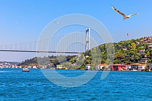 Seagull and the Fatih Sultan Mehmet Bridge near the Asian side of Istanbul