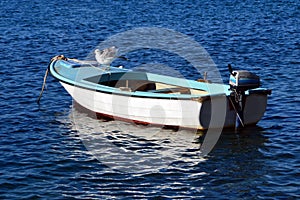 Seagull on a fishing boat in a bright summer day