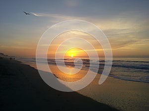 Seagull Flies Along Shore At Sunrise