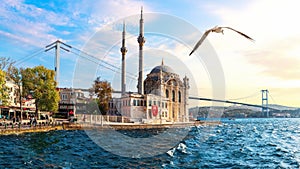 Seagull flies by the Bosphorus bridge and Ortakoy Mosque, Istanbul