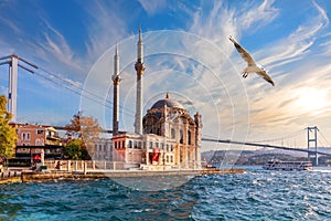 Seagull flies by Ortakoy Mosque, beautiful view from the pier, Istanbul