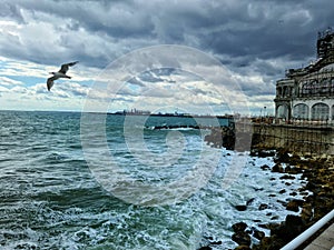 Seagull flight on stormy weather above the sea