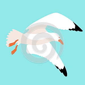 Seagull in flight vector illustration style Flat