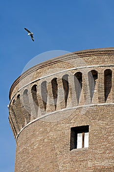 Seagull fly over the castle of julius ii in ostia, rome