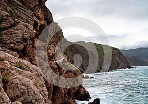 Seagull flying along the cliff with the sea view on the background. Beautiful backdrop for your design. Wildlife concept