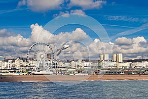 Seagull flying on Brighton beach