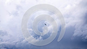 Seagull flying in a cloudy sky