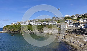 Seagull flying over Port Issac hot sunny summers afternoon