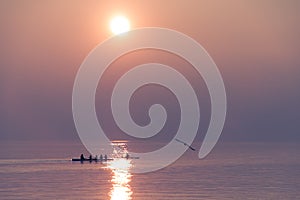 Seagull Flying over Rowing Team Training over Shimmering Lake at Sunset