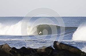 Seagull flying over wave