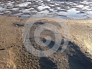 Seagull Footprints in Mud on Bottom of Receded River.