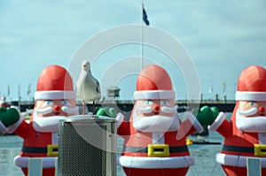 Seagull in the front. A bunch of inflated Santa Claus are decorating the Darling Harbour