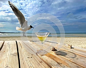 Seagull and glass of juice  on wooden table top at beach resort   sea landscape ,blue sky,marine water sunny day rel