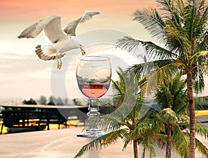 Seagull on gold sunset pink glass of wine and cup of coffee on restaurant table at pier sea port of Tallinn Promenade