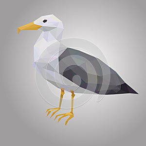 Seagull low poly. Low polygonal seabird. Animal with white hull and black wings Vector illustration photo