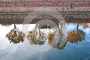 Seagull and mirrorings on the Channelwater in Stralsund photo