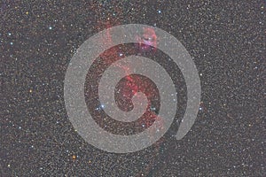 Seagull Nebula IC2117