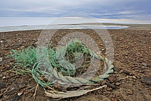 Seagull nest with the plastic rubbish on the Arctic island