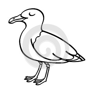 Seagull outline black and white illustration
