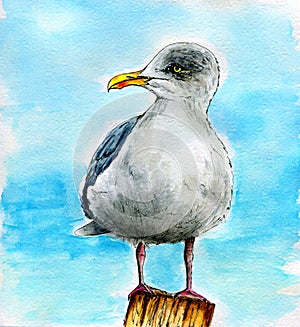 7056 Seagull on a peir. Marine landscape. Watercolor hand drawn illustration. White background. photo