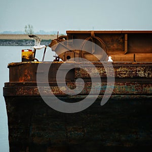 Seagull perched atop a weathered boat in a tranquil body of water.