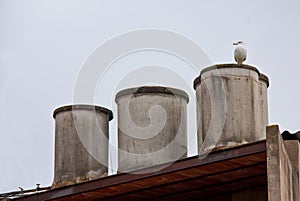 A seagull perched on a large chimney