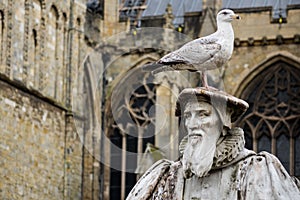 Seagull perched on top of carved statue of scholar