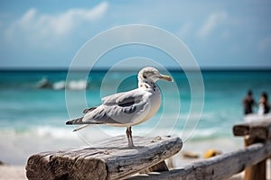 Seagull Perched On Wooden Beach Railing, Overlooking Turquoise Sea - Generative AI