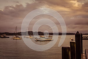 Seagull at a pier. Fishing and pleasure boats anchored nearby, Retro style