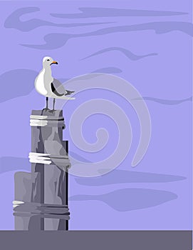 Seagull on Pilings