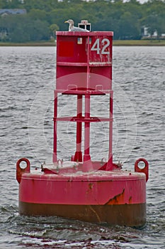 Seagull on Red Bouy