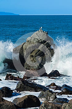 Seagull Rock