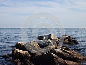Seagull rocks on top rocks jettying into the ocean