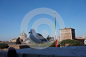 Seagull in Rome city