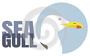 Seagull`s head in profile in a blue circle with the inscription. Vector gray-white-black ocean bird isolated on white background photo