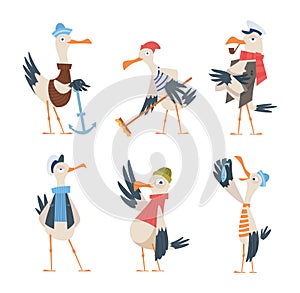 Seagull sailor. Cute funny sea or ocean bird in captain clothes exact vector character in action poses isolated