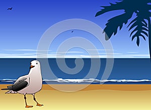 Seagull and sea