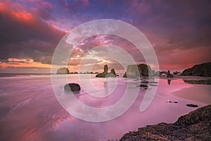 Seagull, seastacks and colorful clouds