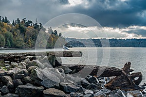 Seagull Shoreline Landscape 2