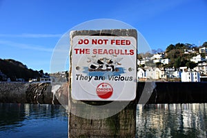 Seagull Sign